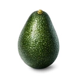 Illustration of a avocado representing a baby's size at week 16