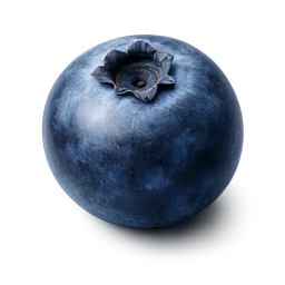 Illustration of a blueberry representing a baby's size at week 8