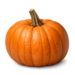 Illustration of a pumpkin representing a baby's size at week 36